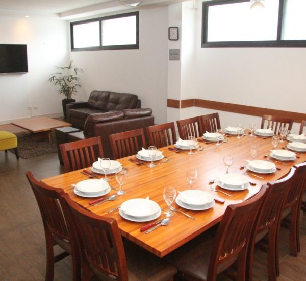 Salones Gourmet sillones